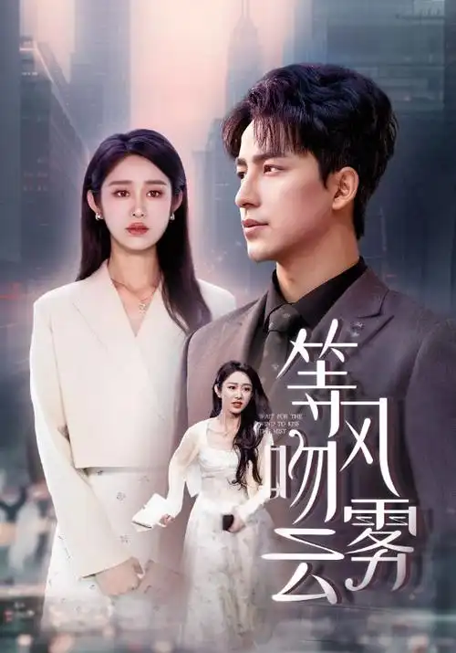 热播电视剧全集《长夜灯火》在线观看